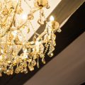 Eleganță și Profesionalism în Ședințele Foto la EkoGroup Vila